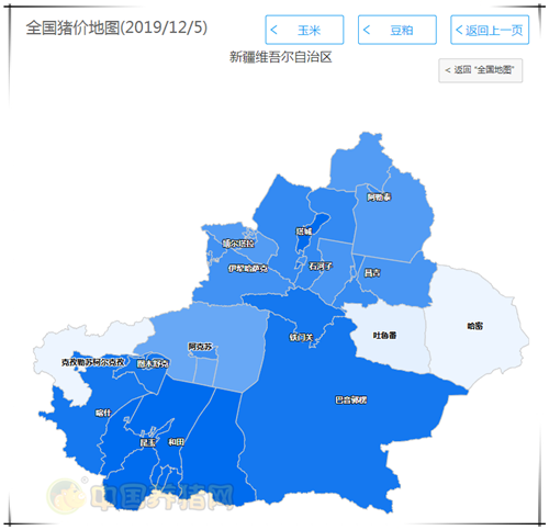 中国养猪网
