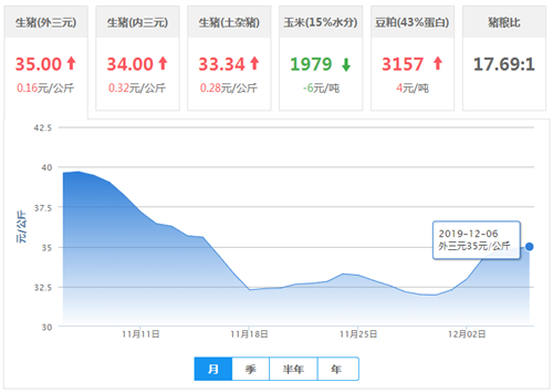 中国养猪网
