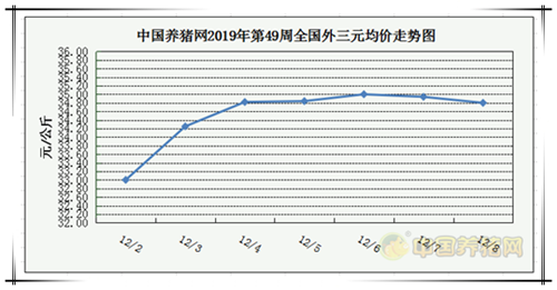 中国养猪网