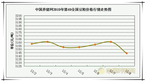 中国养猪网