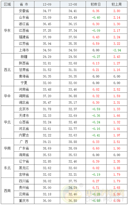 中国养猪网