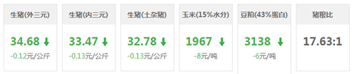 中国养猪网