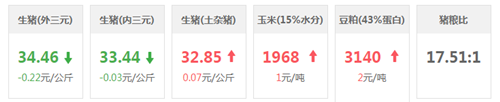 中国养猪网