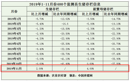 中国养猪网