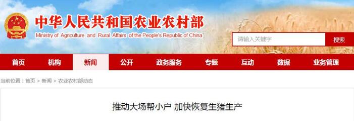 农业农村部：推动大场帮小户 加快恢复生猪生产