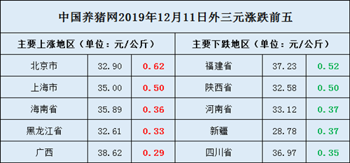 中国养猪网