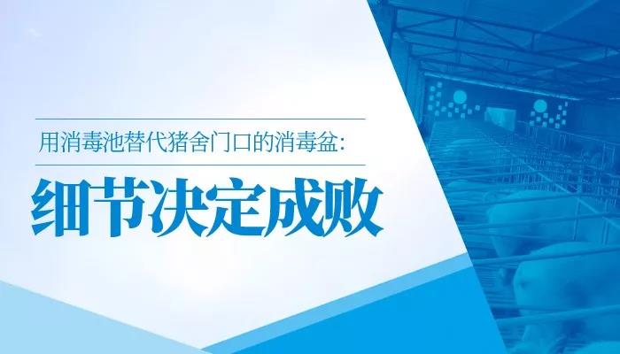 曹松嵘：用消毒池替代猪舍门口的消毒盆——细节决定成败