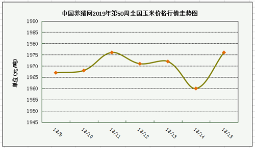 中国养猪网