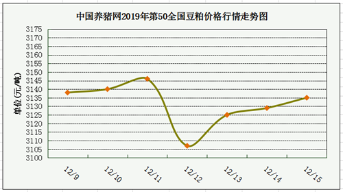 中国养猪网