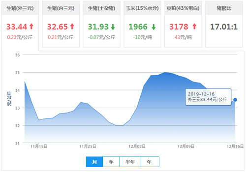 中国养猪网