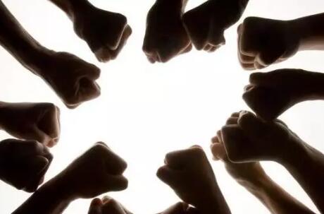 PRRS会影响断奶仔猪的营养反应？可通过调整饮食或其他干预来减少疾病导致的损失！