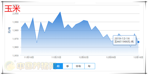 中国养猪网