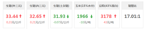 中国养猪网