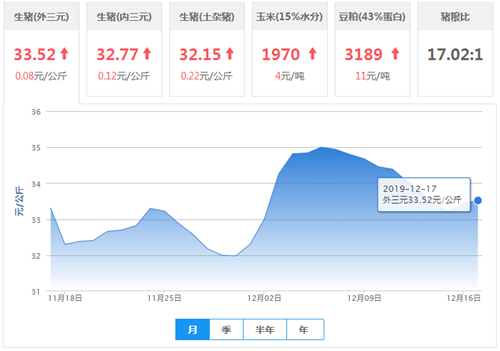 中国养猪网
