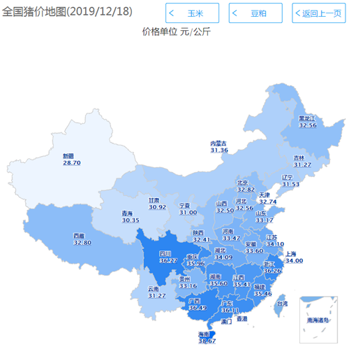 中国养猪网