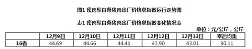 中国养猪网