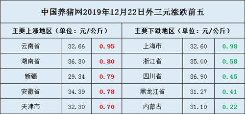 中国养猪网
