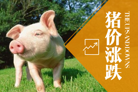2019年12月23日全国土杂猪生猪价格行情涨跌表