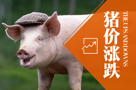 2019年12月23日全国内三元生猪价格行情涨跌表