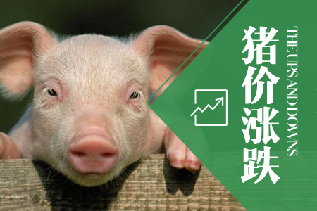2019年12月23日全国外三元生猪价格行情涨跌表