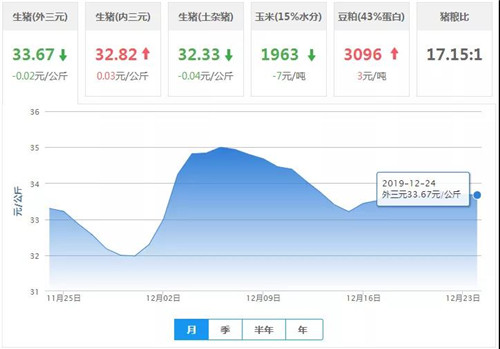 中国养猪网