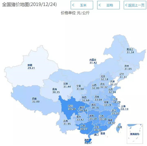 中国养猪网