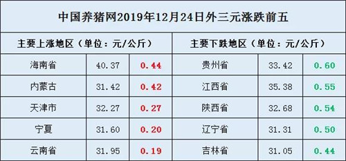 中国养猪网