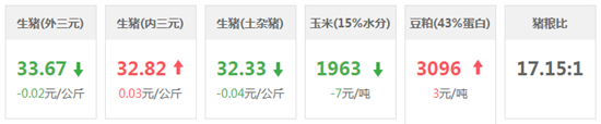 中国养猪网