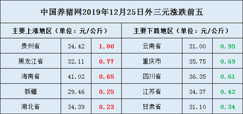 中国养猪网