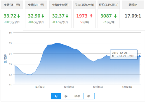 中国养猪网