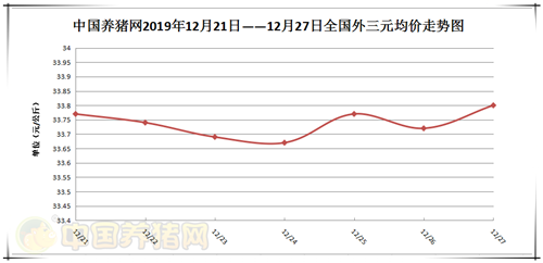 中国养猪网