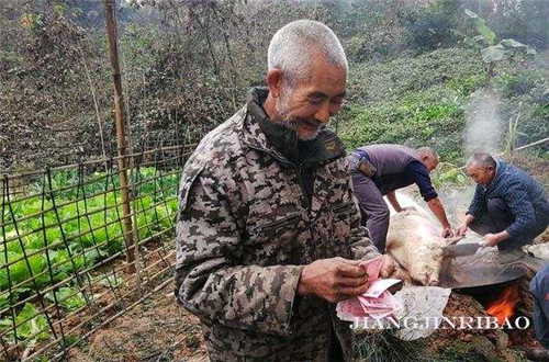 西湖镇帮贫困户“杀年猪、卖年猪”脱贫