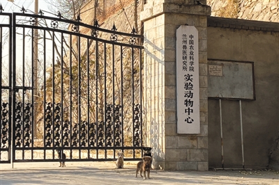 中牧股份回应布病：消毒剂过期所致 相关生产车间已停产！