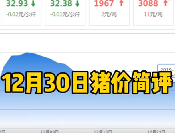 中国养猪网猪价简评-12月27日整体维持窄幅震荡，部分地区猪价微调！