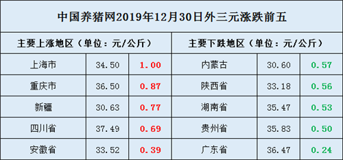 中国养猪网