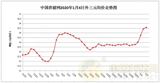 中国养猪网