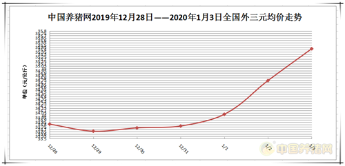 中国养猪网