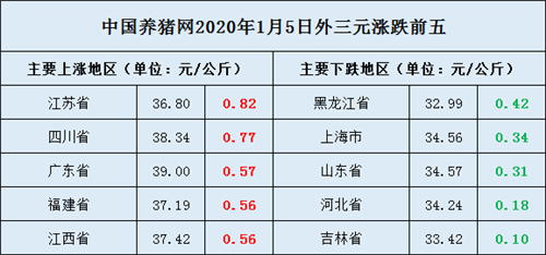 中国养猪网