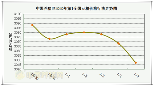 中国养猪网