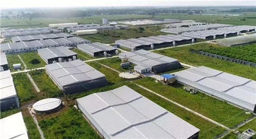 牧原招聘 | 牧原集团生产部专项招聘