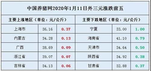 中国养猪网