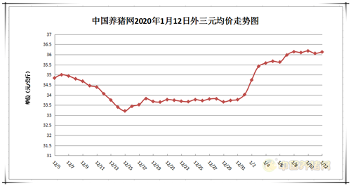 中国养猪网