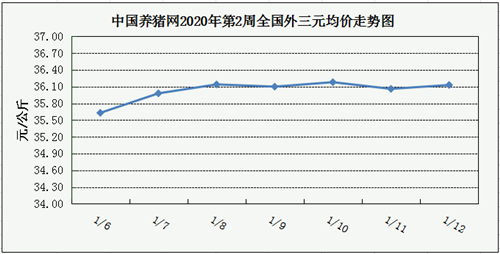 中国养猪网