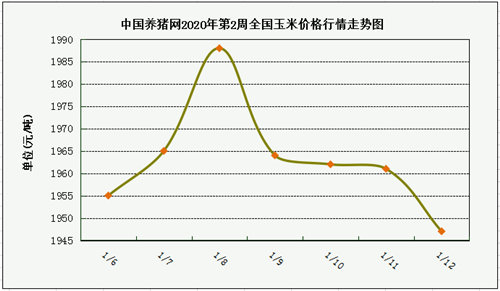 中国养猪网