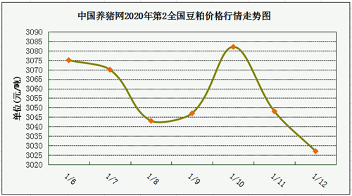 中国养猪网