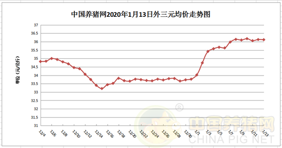 中国养猪网