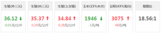 中国养猪网