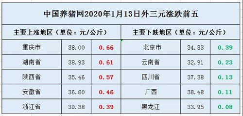 中国养猪网