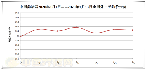中国养猪网