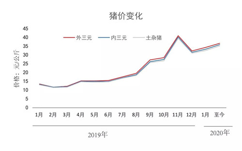 中国养猪网